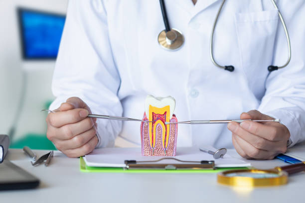 Best Emergency Denture Repair in Sidney, MT